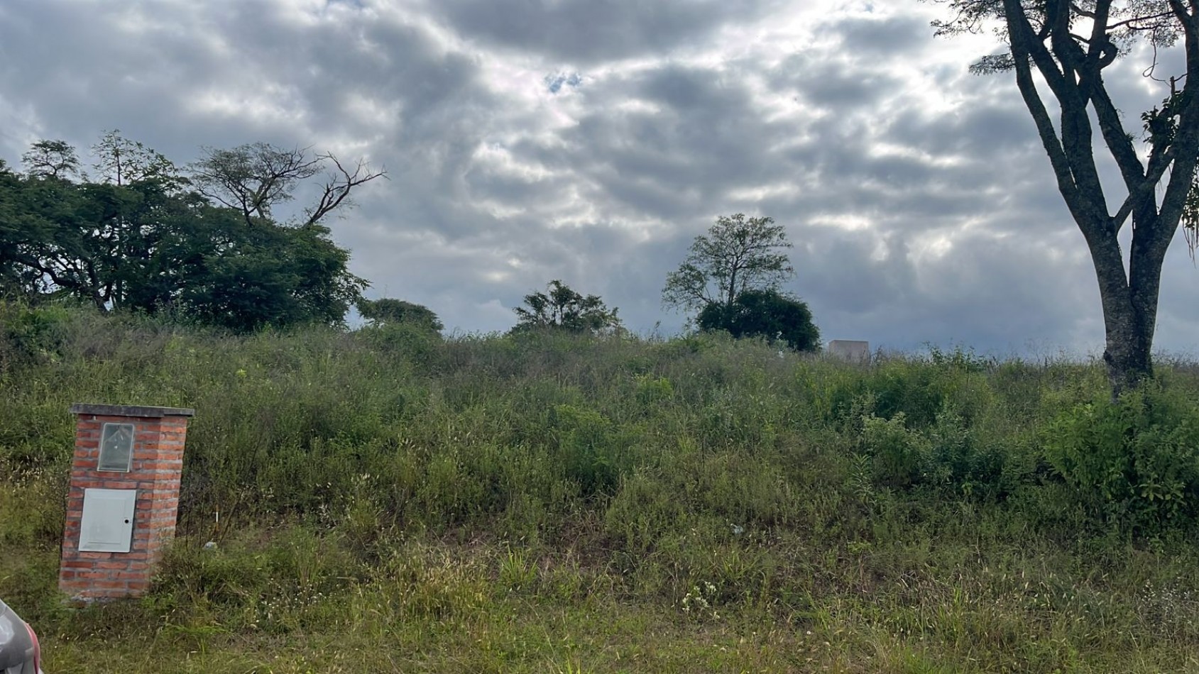 VENDO TERRENOS EN "LAS ALPACAS"    LOTE 7 MZA 1555 CON UNA SUPERFICIE DE 300M²