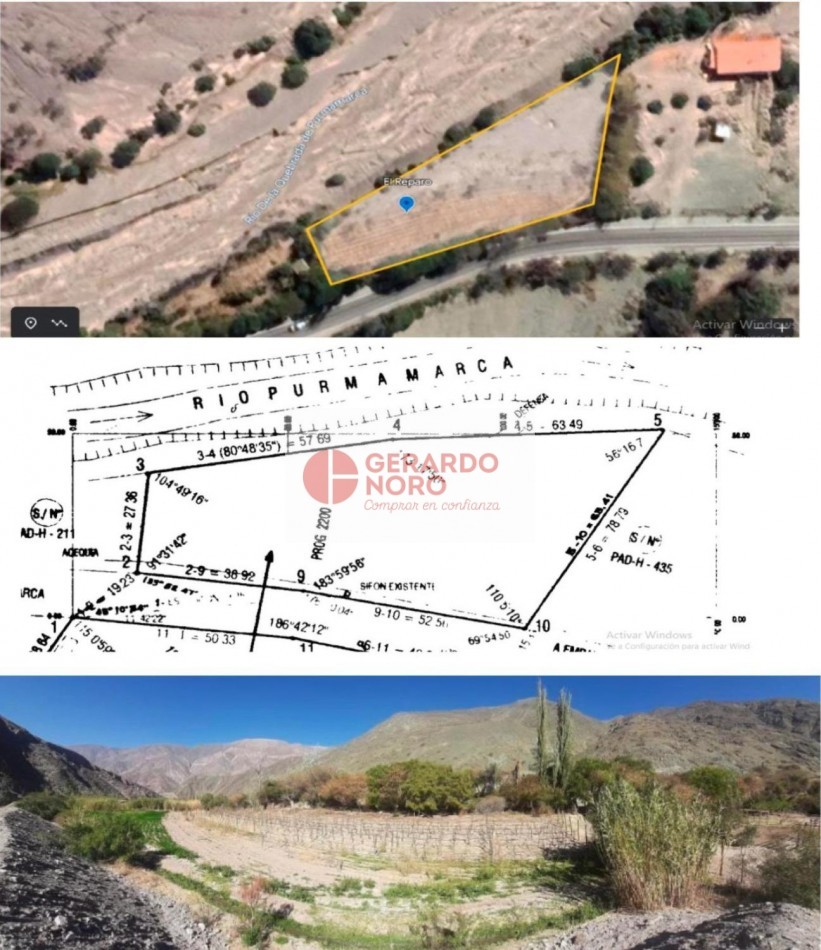 FINCA VITIVINICOLA EN VENTA EN PURMAMARCA - EL REPARO 