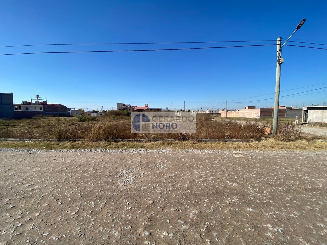 TERRENO EN VENTA EN EN CALLE TELUI S/N B° SAN PEDRITO