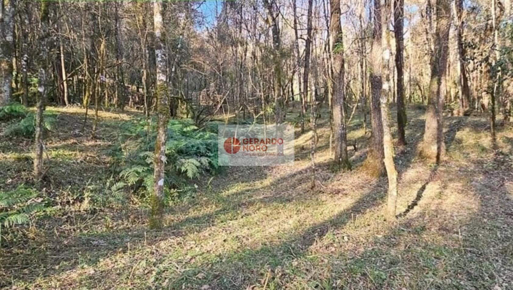 TERRENO EN VENTA EN B° LOS PERALES   ECO URBANIZACION HORCO-MOLLE 