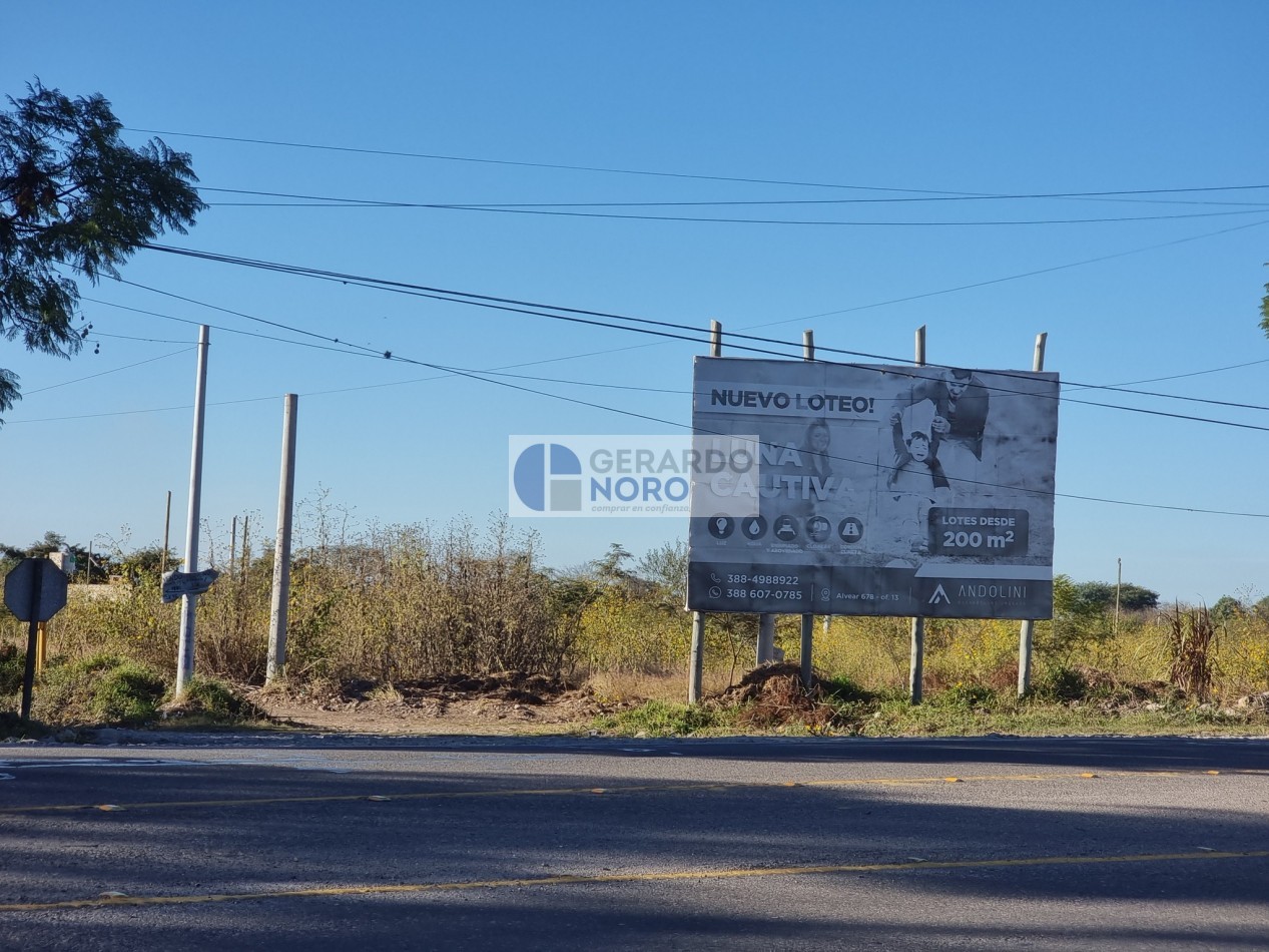 VENDO TERRENO EL CARMEN A METROS DE LA RN N°9  