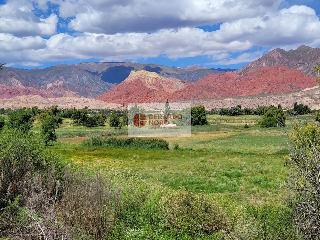 VENDO FINCA CHUCALEZMA - DEPTO HUMAHUACA