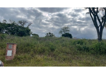 VENDO TERRENOS EN "LAS ALPACAS"    LOTE 7 MZA 1555 CON UNA SUPERFICIE DE 300M²