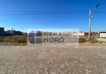 TERRENO EN VENTA EN EN CALLE TELUI S/N B° SAN PEDRITO